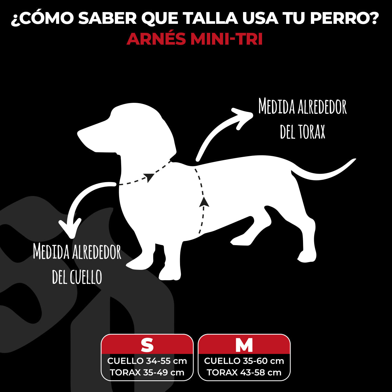 Street Dogs Arnés Mini Strap