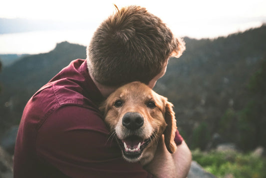 Persona abrazando a su perro adoptado