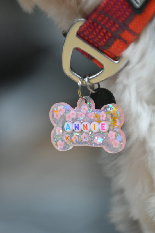 Perro con collar y placa de identificación