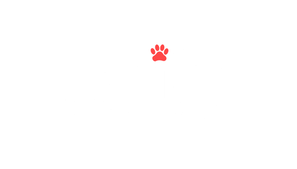 Raily