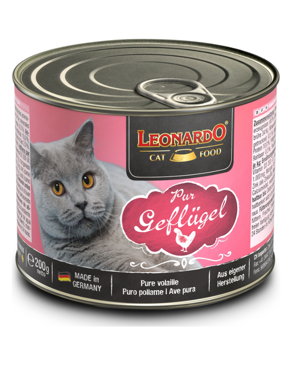 Lata QS Leonardo Ave 200 gr