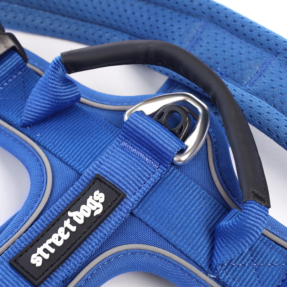 Street Dogs Arnés AeroSport Blue