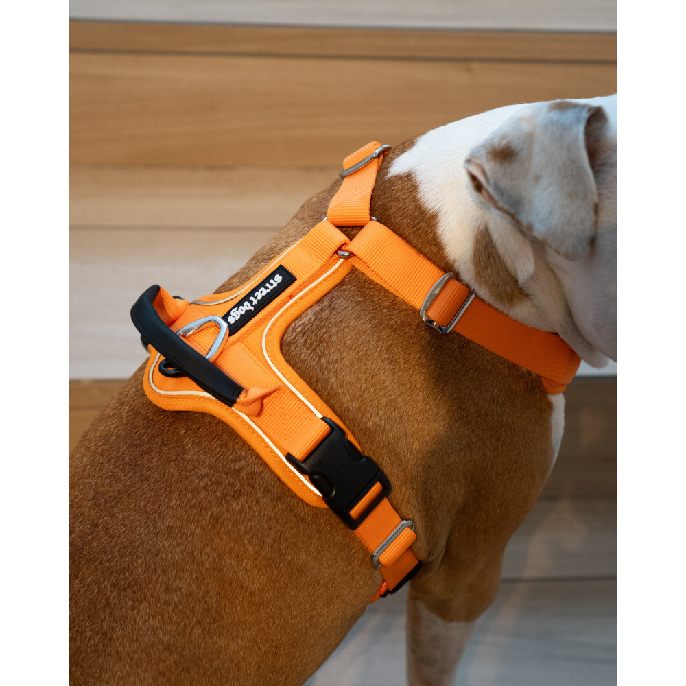 Street Dogs Arnés AeroSport