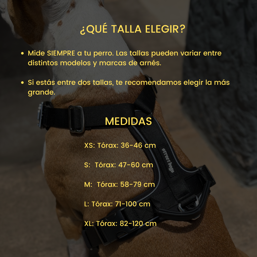 Street Dogs Arnés AeroSport