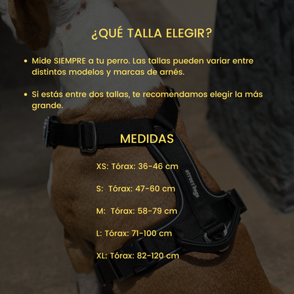 Street Dogs Arnés AeroSport