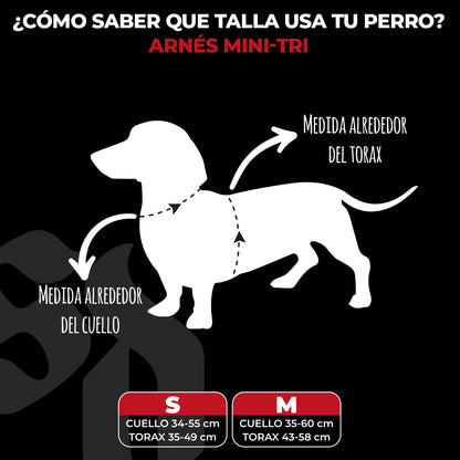 Street Dogs Arnés Mini Strap