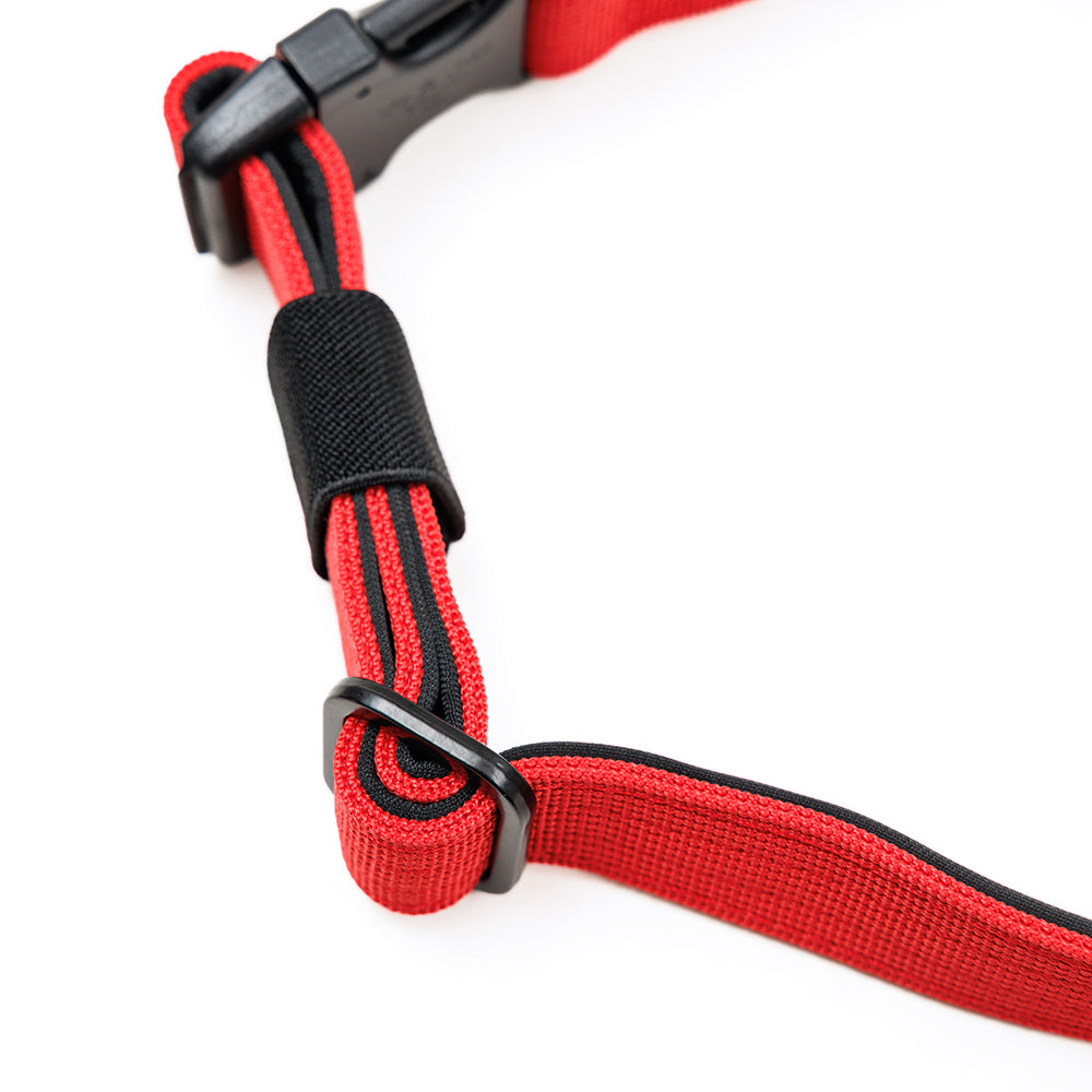 Street Dogs Arnés Mini Strap Red