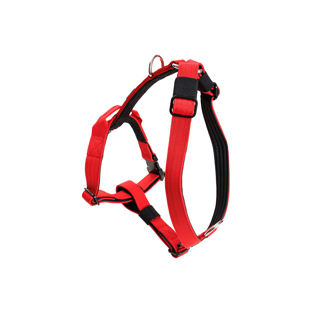 Street Dogs Arnés Mini Strap Red