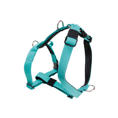 Street Dogs Arnés Mini Strap Turquesa