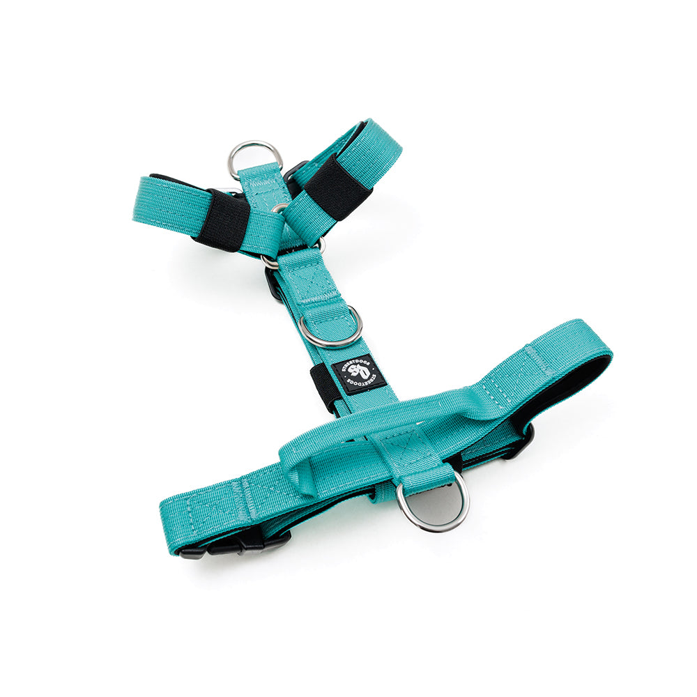 Street Dogs Arnés Mini Strap Turquesa