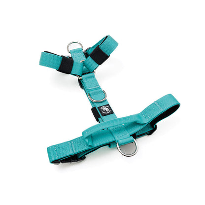 Street Dogs Arnés Mini Strap Turquesa