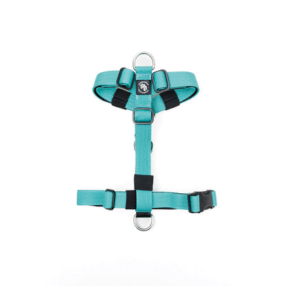 Street Dogs Arnés Mini Strap Turquesa