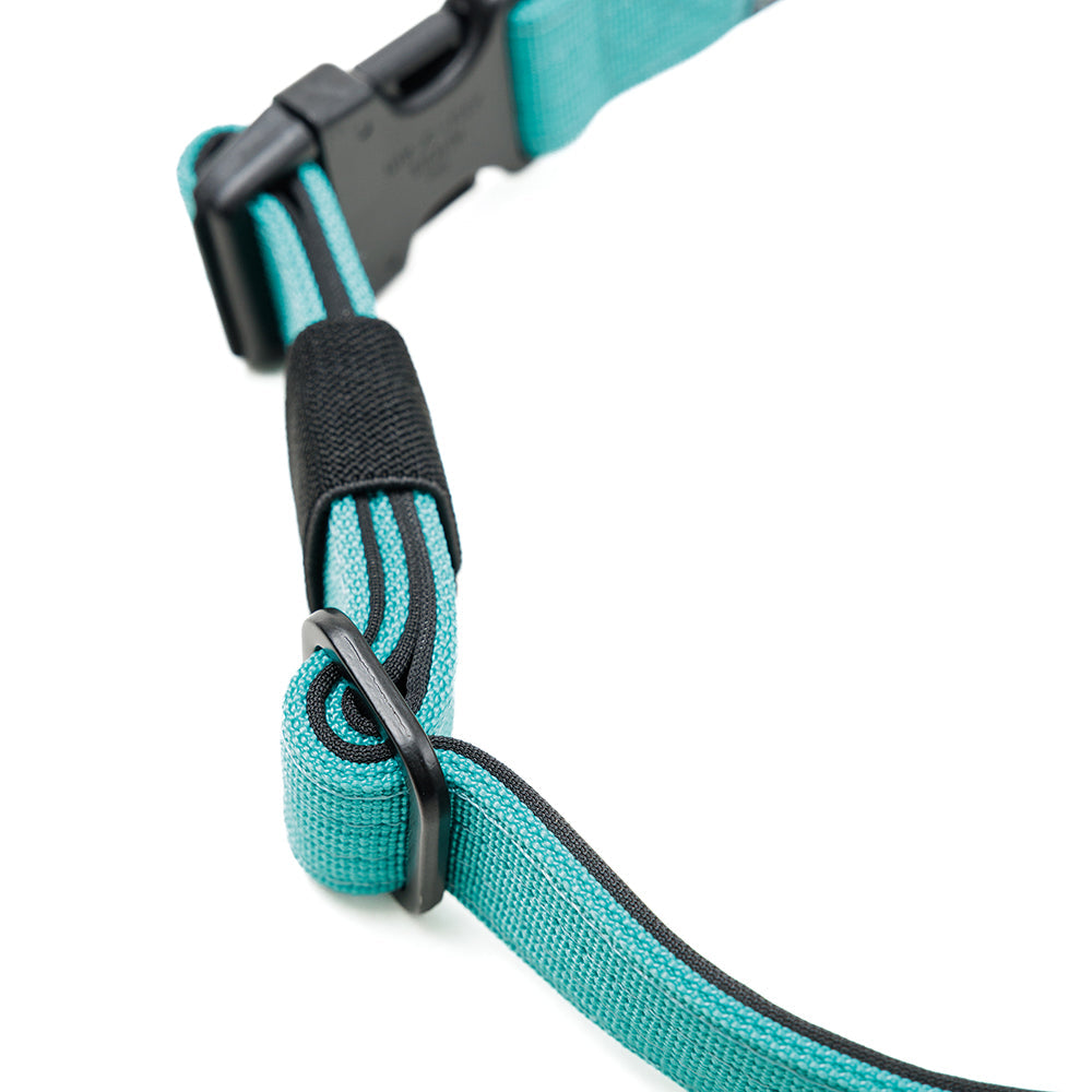 Street Dogs Arnés Mini Strap Turquesa