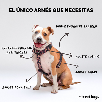 Street Dogs Arnés Strap