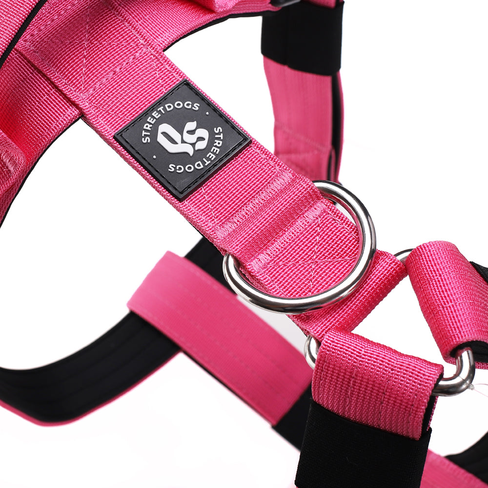 Street Dogs Arnés Strap Pink