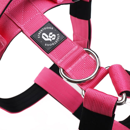 Street Dogs Arnés Strap Pink