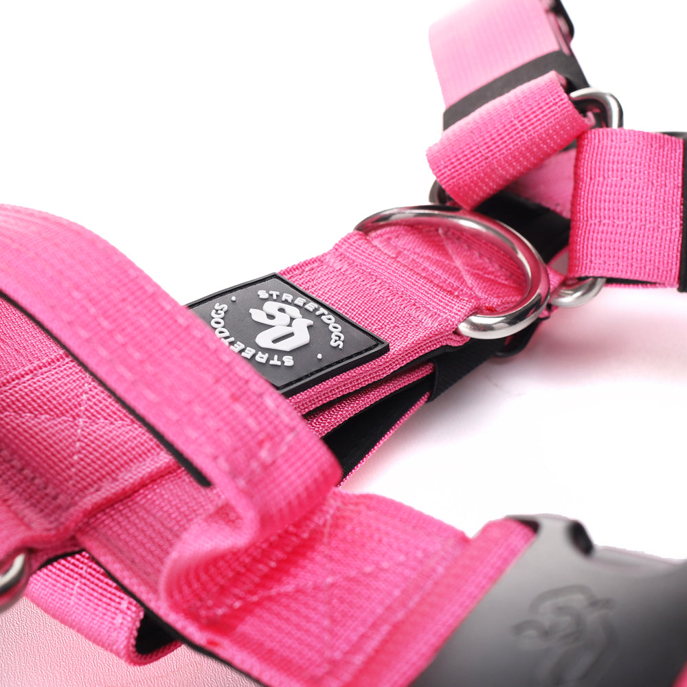 Street Dogs Arnés Strap Pink