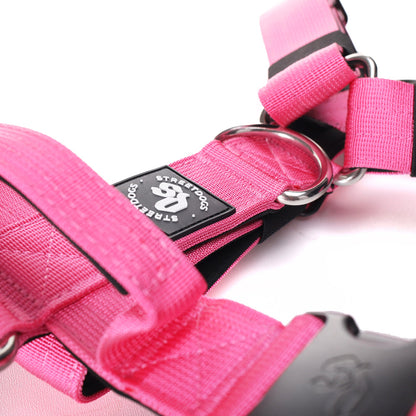 Street Dogs Arnés Strap Pink