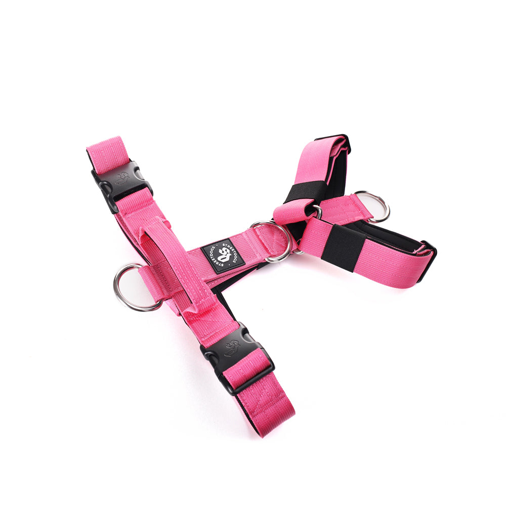 Street Dogs Arnés Strap Pink