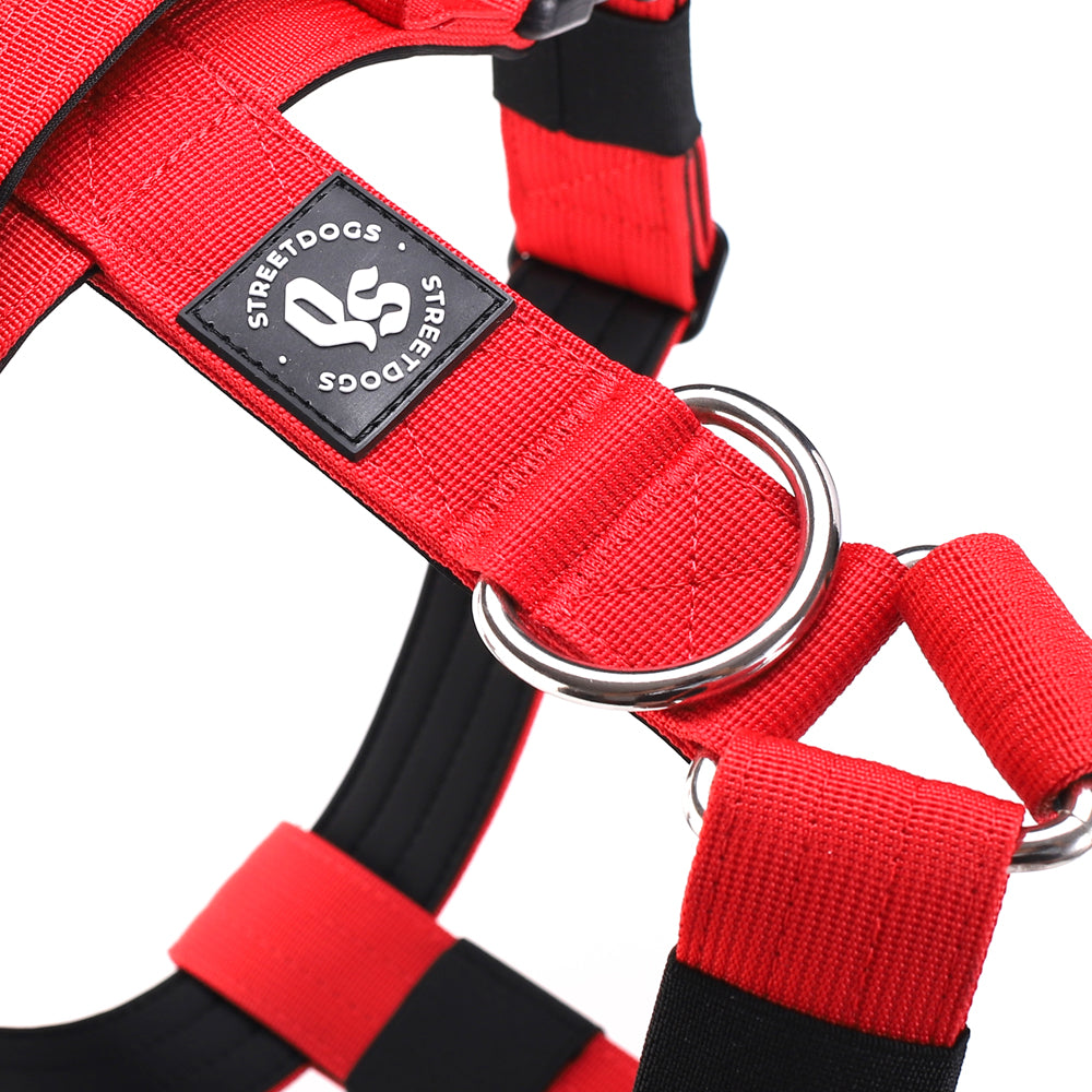 Street Dogs Arnés Strap Red