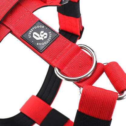 Street Dogs Arnés Strap Red
