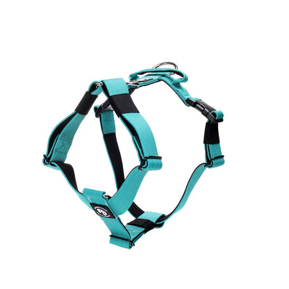 Street Dogs Arnés Strap Turquesa
