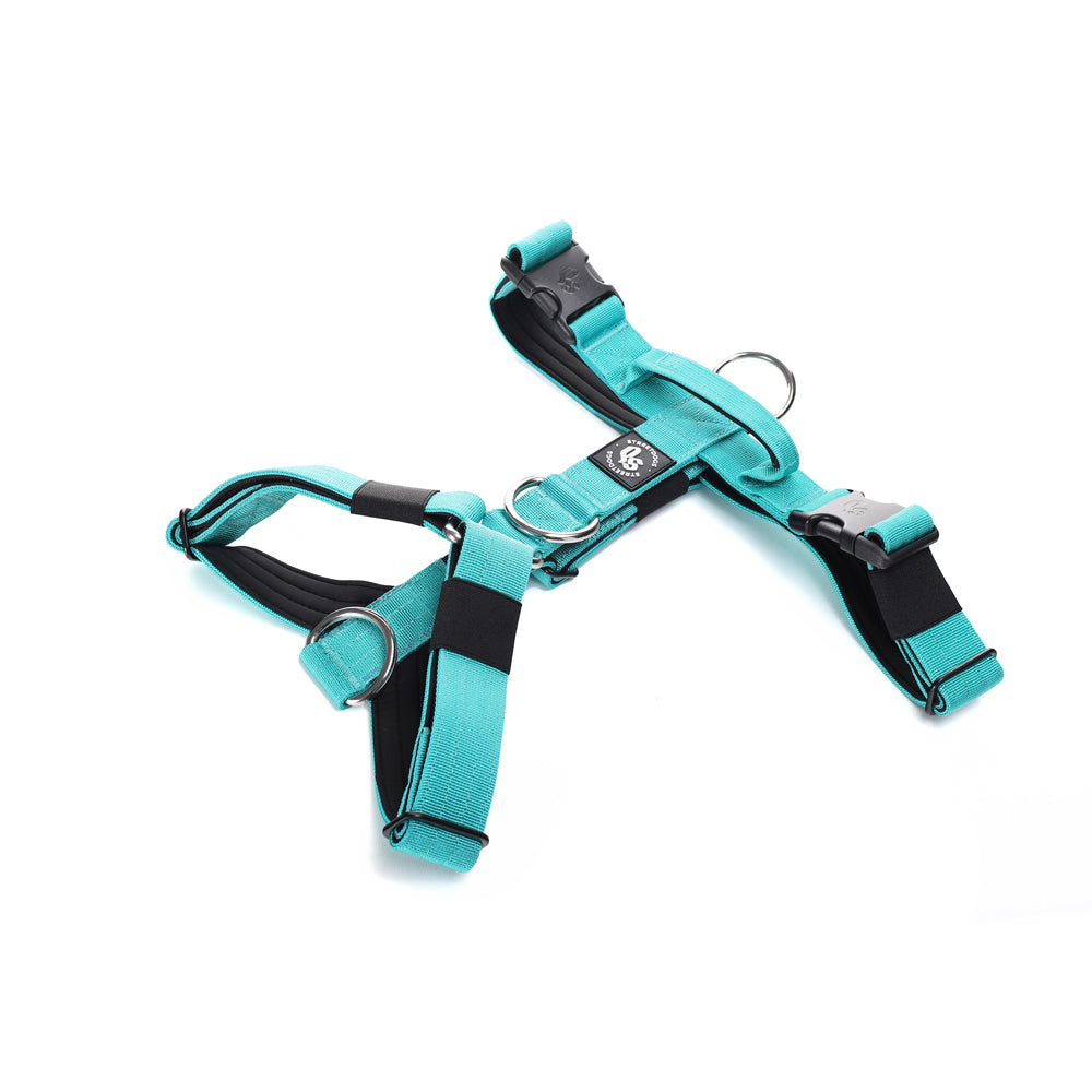 Street Dogs Arnés Strap Turquesa
