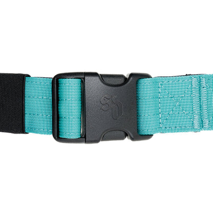 Street Dogs Arnés Strap Turquesa