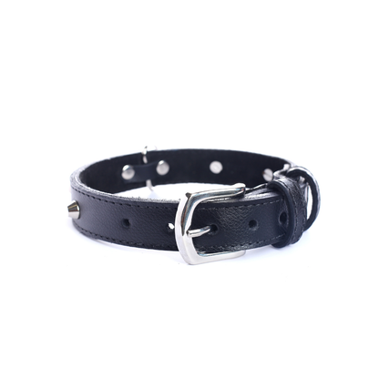Street Dogs Collar Cuero 2.5cm Black