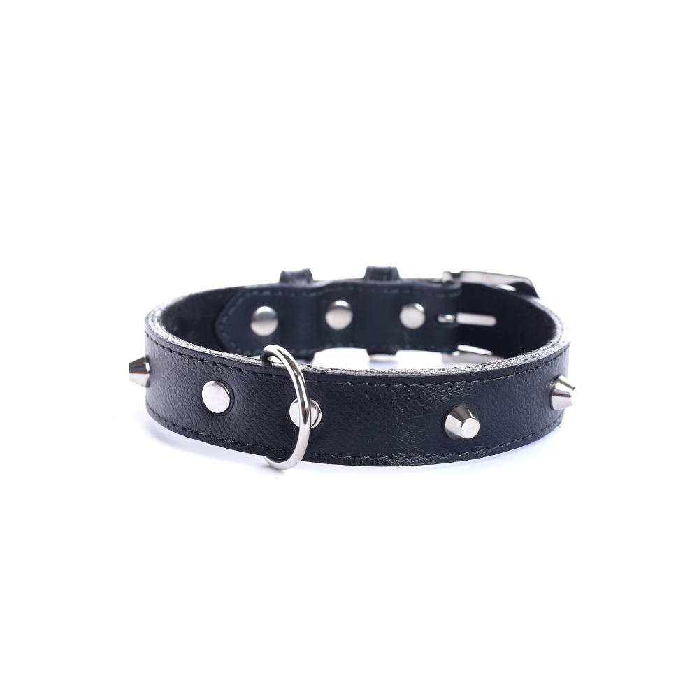 Street Dogs Collar Cuero 2.5cm Black