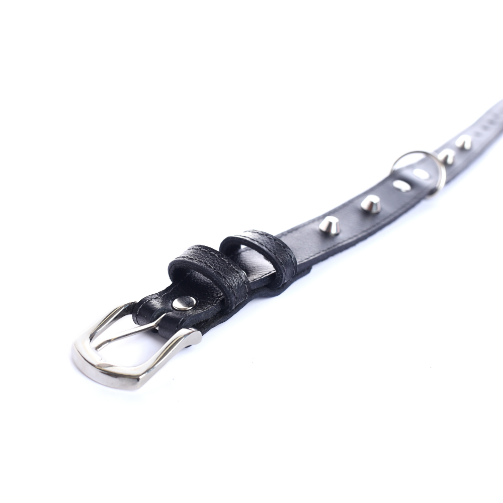Street Dogs Collar Cuero 2.5cm Black