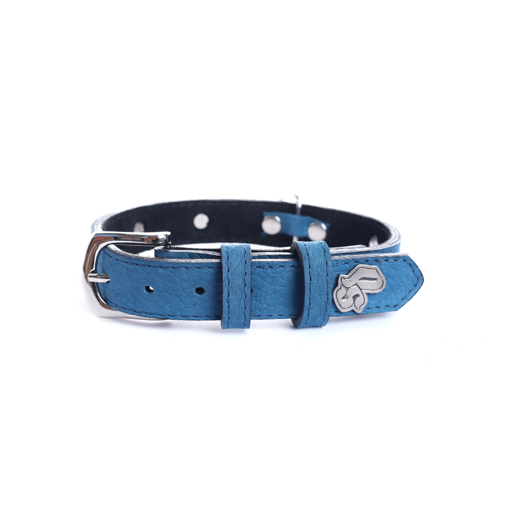 Street Dogs Collar Cuero 2.5cm Blue Mate