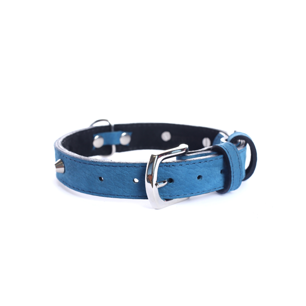 Street Dogs Collar Cuero 2.5cm Blue Mate