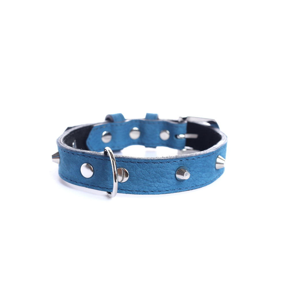 Street Dogs Collar Cuero 2.5cm Blue Mate