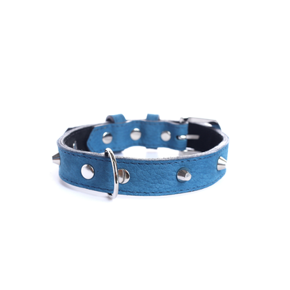 Street Dogs Collar Cuero 2.5cm Blue Mate