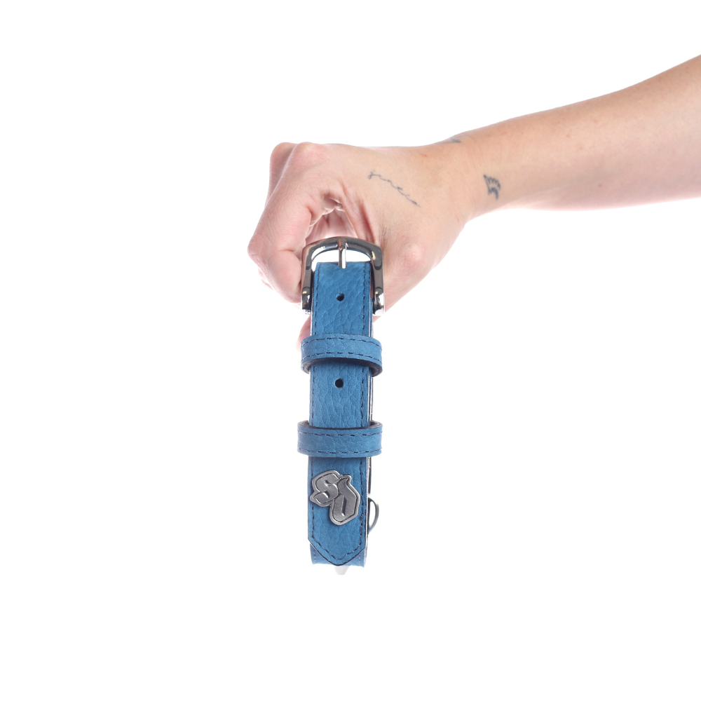 Street Dogs Collar Cuero 2.5cm Blue Mate