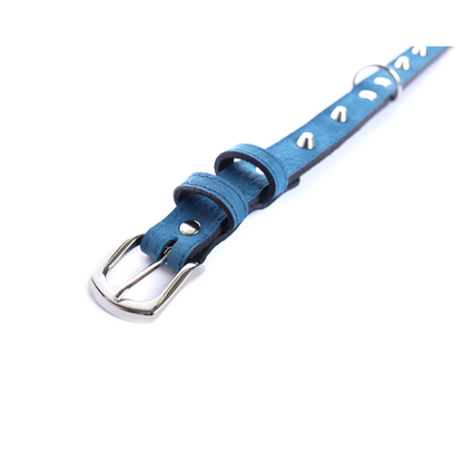 Street Dogs Collar Cuero 2.5cm Blue Mate