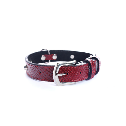 Street Dogs Collar Cuero 2.5cm Dark Red