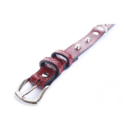 Street Dogs Collar Cuero 2.5cm Dark Red