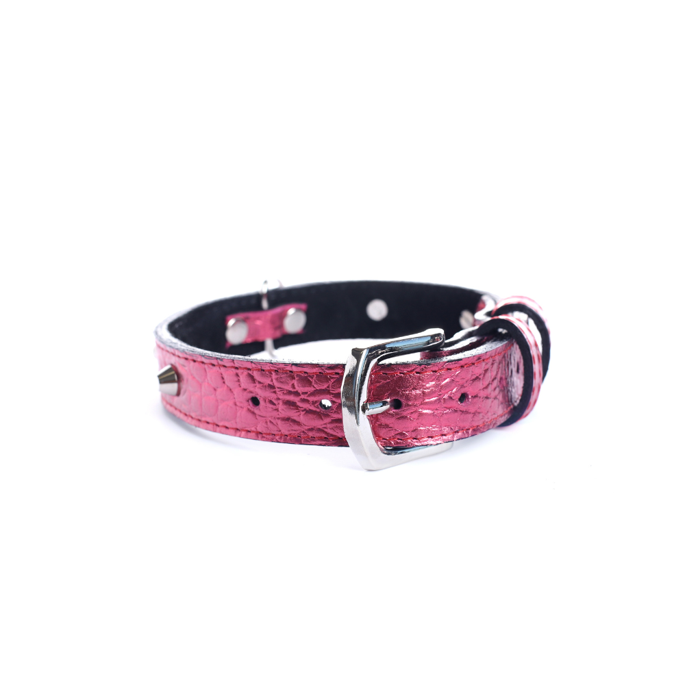 Street Dogs Collar Cuero 2.5cm Pink