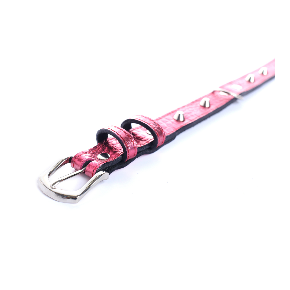 Street Dogs Collar Cuero 2.5cm Pink