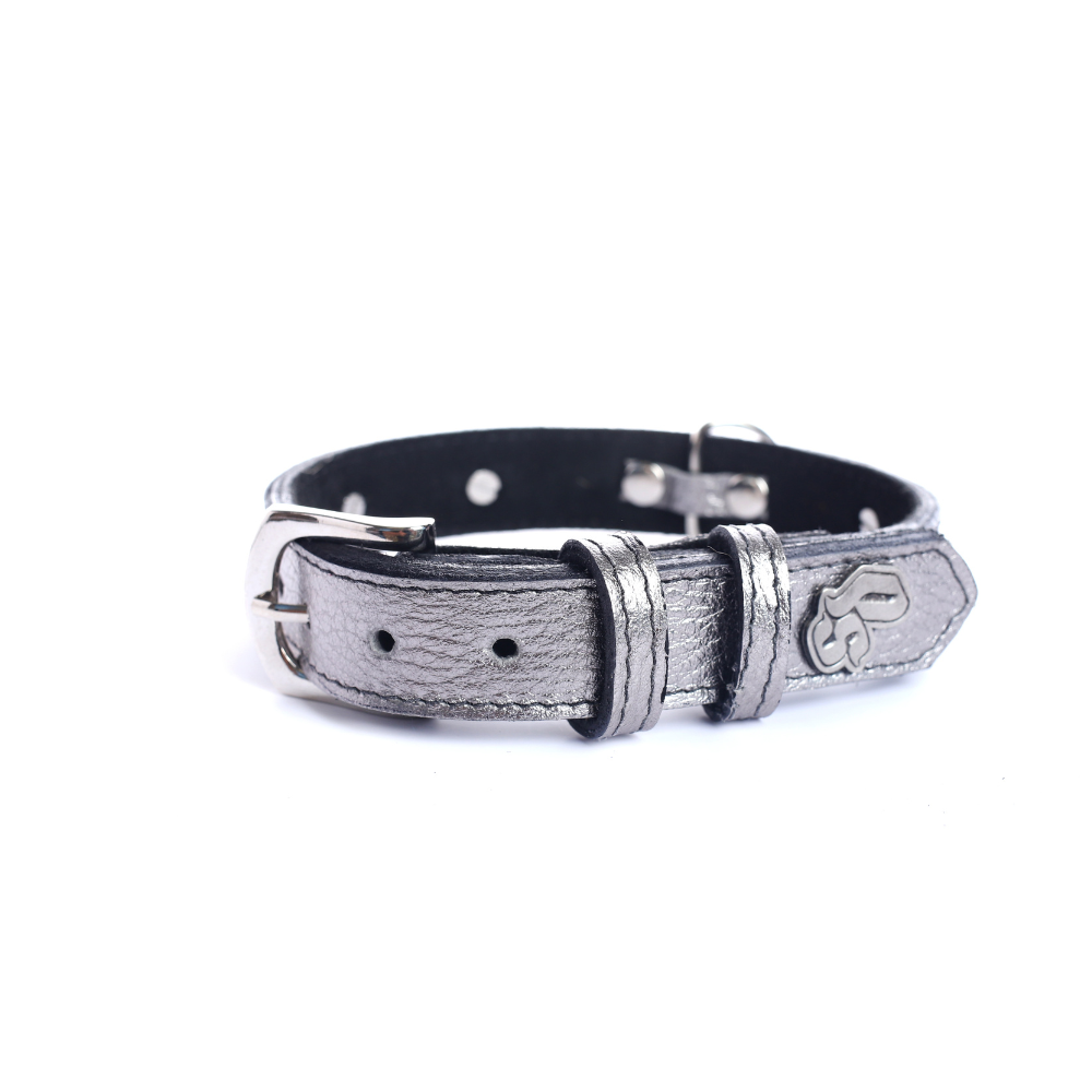 Street Dogs Collar Cuero 2.5cm Silver