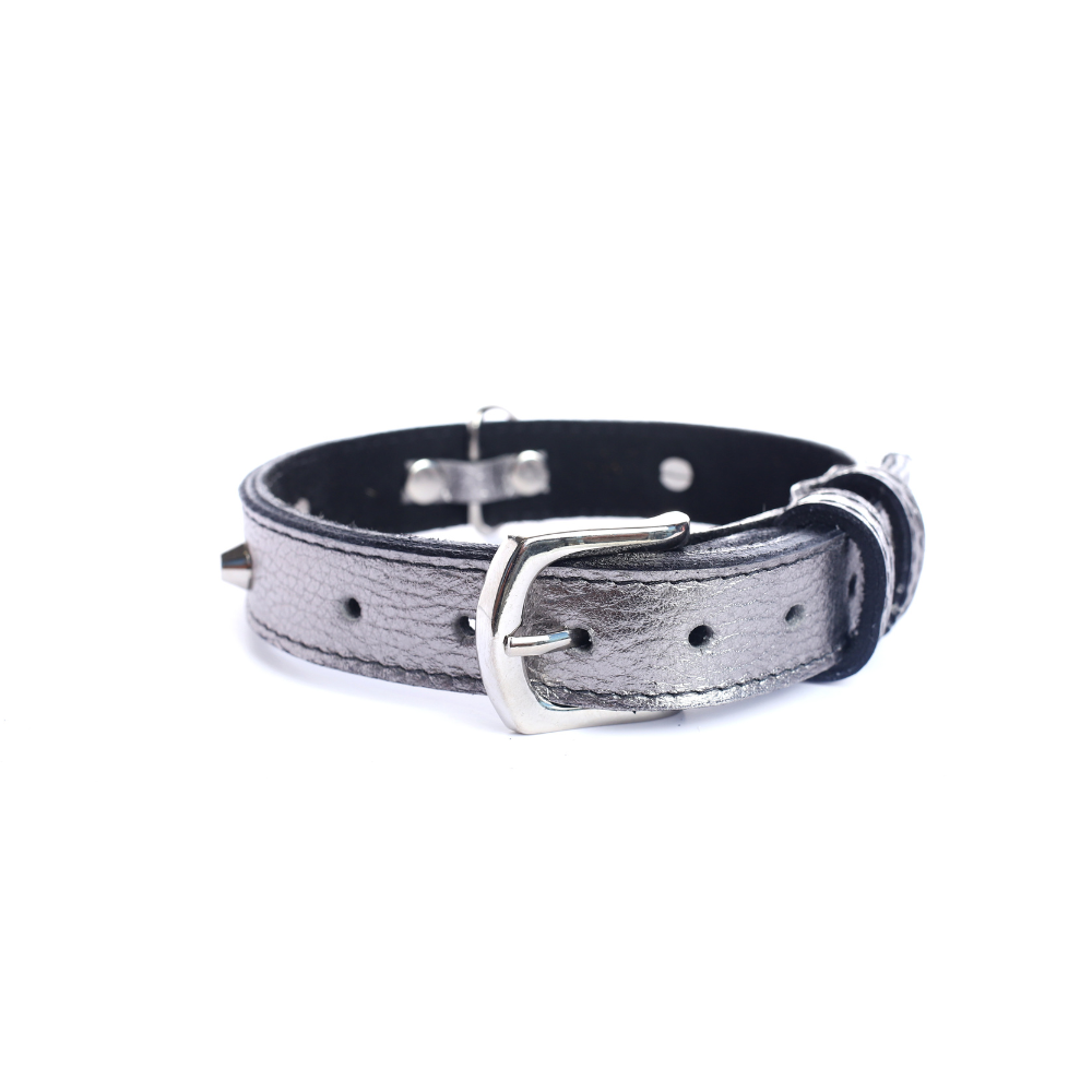 Street Dogs Collar Cuero 2.5cm Silver