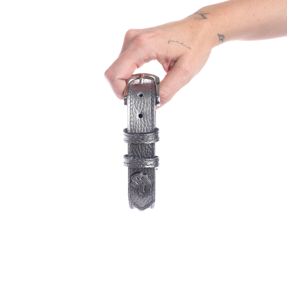 Street Dogs Collar Cuero 2.5cm Silver