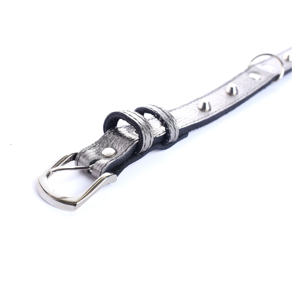 Street Dogs Collar Cuero 2.5cm Silver