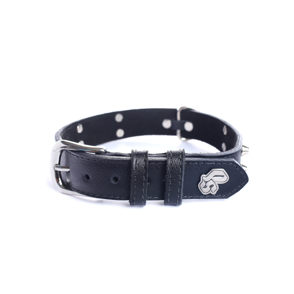 Street Dogs Collar Cuero 3cm Black