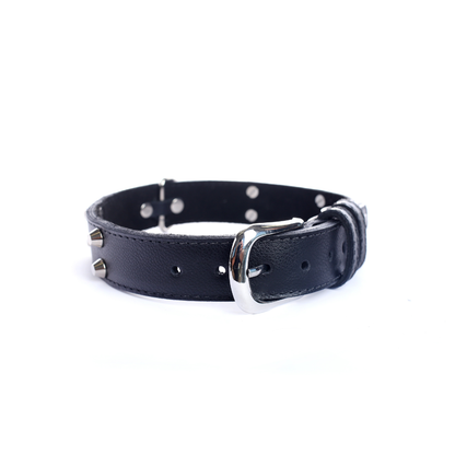 Street Dogs Collar Cuero 3cm Black