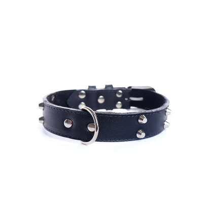 Street Dogs Collar Cuero 3cm Black