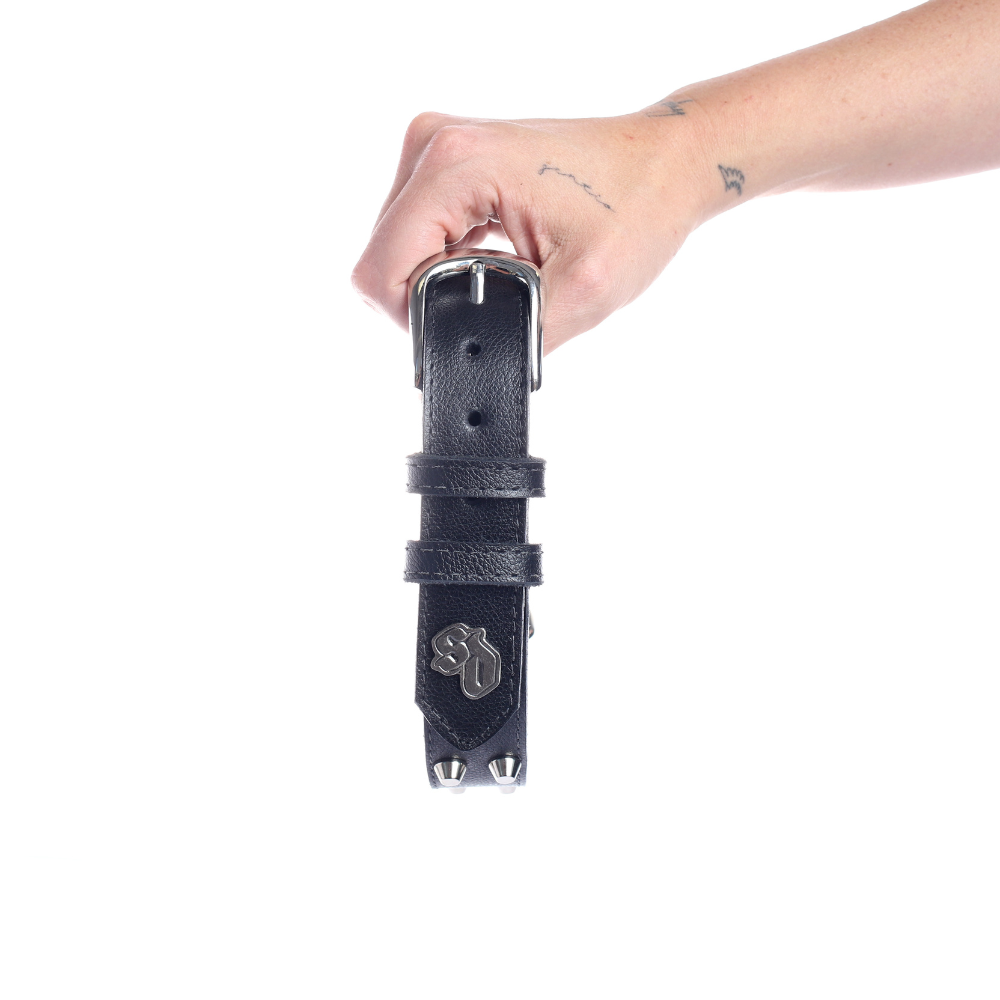 Street Dogs Collar Cuero 3cm Black