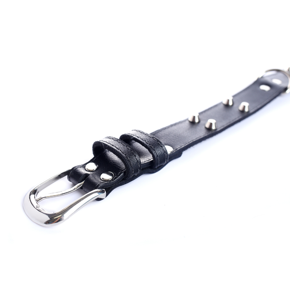 Street Dogs Collar Cuero 3cm Black